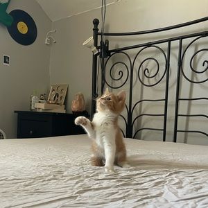 Meet your Posher, Nevaeh